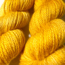 Load image into Gallery viewer, Goldenrod - Wondrous Worsted
