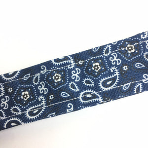Blue Paisley Notions Pouch