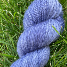 Load image into Gallery viewer, Blue Thistle - Wondrous Worsted

